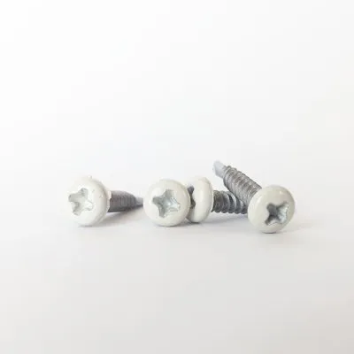 Vis autoperceuse à tête cylindrique bombée - INOX - BEIGE SABLE (RAL1013) - D3,5 x L19 - 10 unités - Réf. RAL1013-300399187_10