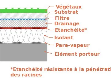 La toiture-terrasse végétalisée