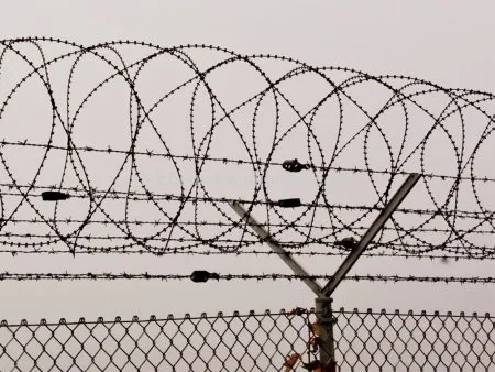 La mise en place des fils de fer barbelés