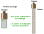 La solution aux efforts de compression